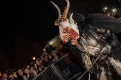 Photo by Sascha Fiala