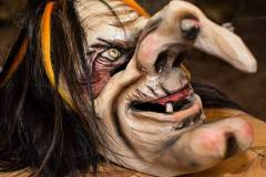 Photo by Sascha Fiala