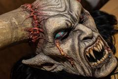 Photo by Sascha Fiala