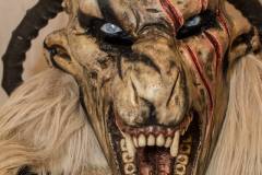 Photo by Sascha Fiala