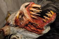 Photo by Sascha Fiala