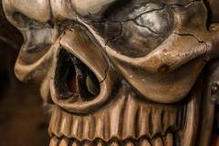 Photo by Sascha Fiala