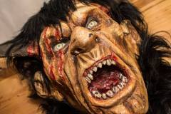 Photo by Sascha Fiala