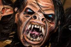 Photo by Sascha Fiala