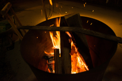 Photo by Sascha Fiala