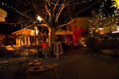 Photo by Sascha Fiala