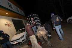 Photo by Sascha Fiala