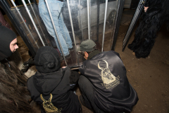 Photo by Sascha Fiala