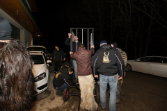 Photo by Sascha Fiala