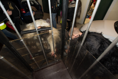 Photo by Sascha Fiala