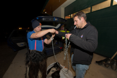 Photo by Sascha Fiala