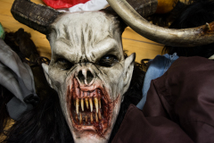 Photo by Sascha Fiala