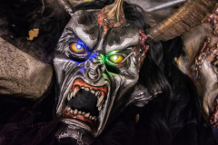 Photo by Sascha Fiala