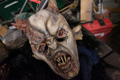 Photo by Sascha Fiala