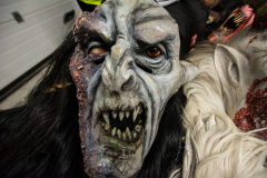 Photo by Sascha Fiala