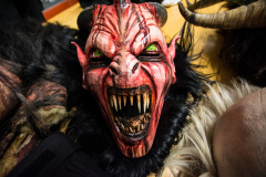 Photo by Sascha Fiala