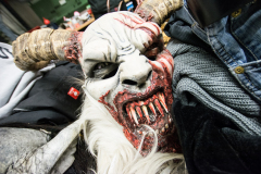 Photo by Sascha Fiala