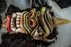 Photo by Sascha Fiala