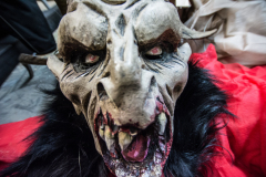 Photo by Sascha Fiala