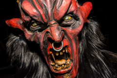 Photo by Sascha Fiala