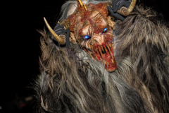 Photo by Sascha Fiala