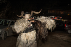 Photo by Sascha Fiala