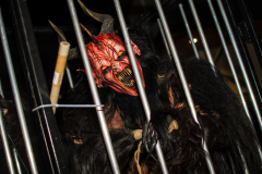 Photo by Sascha Fiala