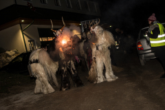 Photo by Sascha Fiala