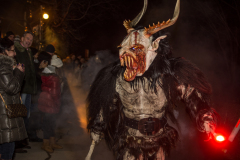 Photo by Sascha Fiala