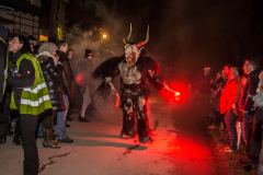 Photo by Sascha Fiala