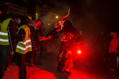 Photo by Sascha Fiala