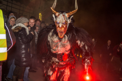 Photo by Sascha Fiala