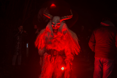 Photo by Sascha Fiala