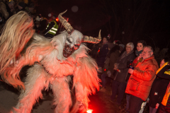 Photo by Sascha Fiala