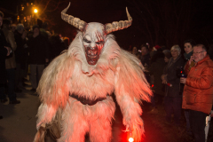 Photo by Sascha Fiala