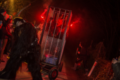 Photo by Sascha Fiala