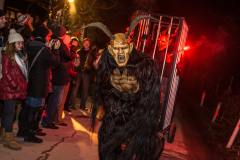 Photo by Sascha Fiala