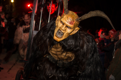 Photo by Sascha Fiala