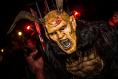 Photo by Sascha Fiala