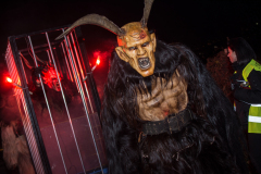 Photo by Sascha Fiala