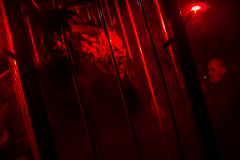 Photo by Sascha Fiala