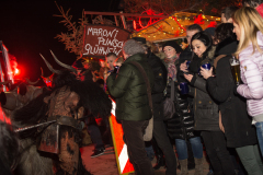 Photo by Sascha Fiala