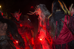 Photo by Sascha Fiala