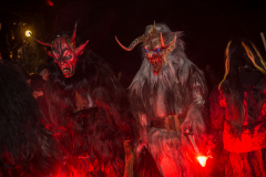 Photo by Sascha Fiala