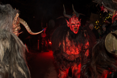 Photo by Sascha Fiala