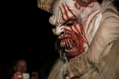 Photo by Sascha Fiala