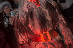 Photo by Sascha Fiala