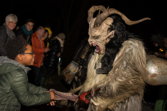 Photo by Sascha Fiala