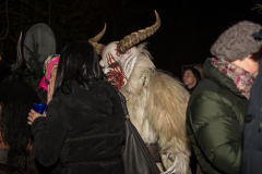 Photo by Sascha Fiala