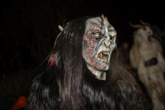 Photo by Sascha Fiala